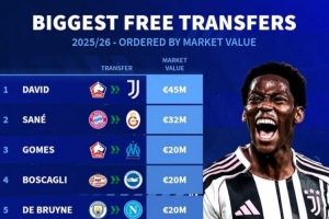 德轉(zhuǎn)列今夏免簽身價(jià)最貴榜：戴維&薩內(nèi)領(lǐng)銜，德布勞內(nèi)&托馬斯在列