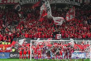 馬德興：海港球迷很少高調(diào)只默默跟隨，沒招惹任何一方更不樹敵